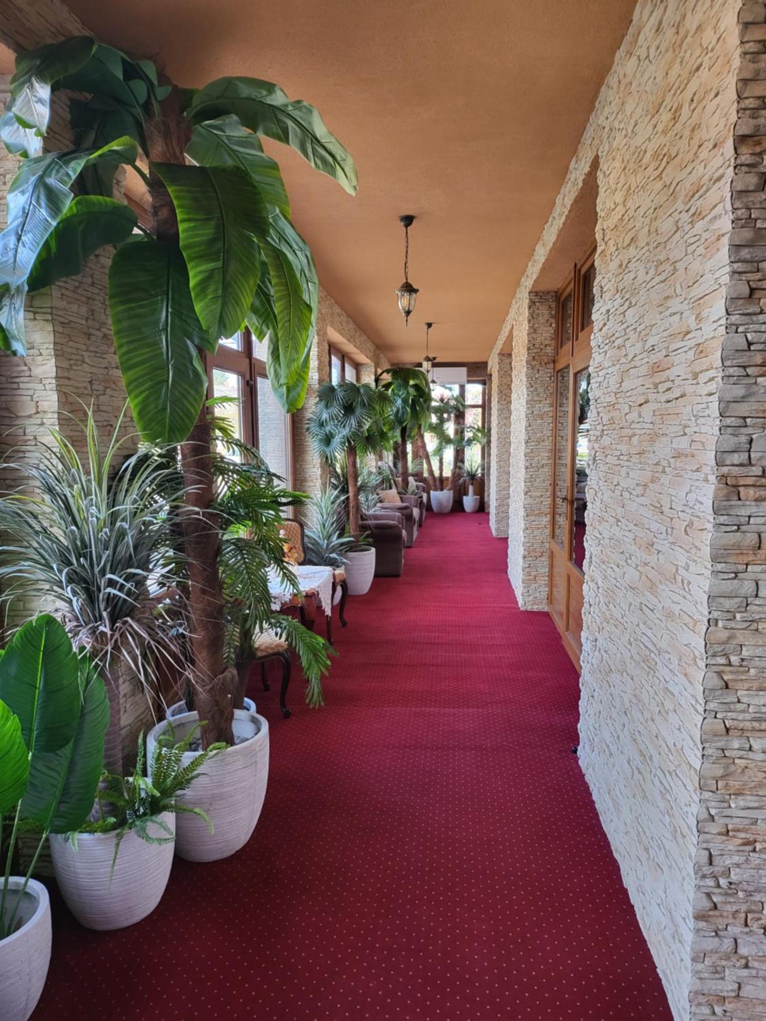 Tiszakécske Voeroes Alom Panzio B&B 외부 사진
