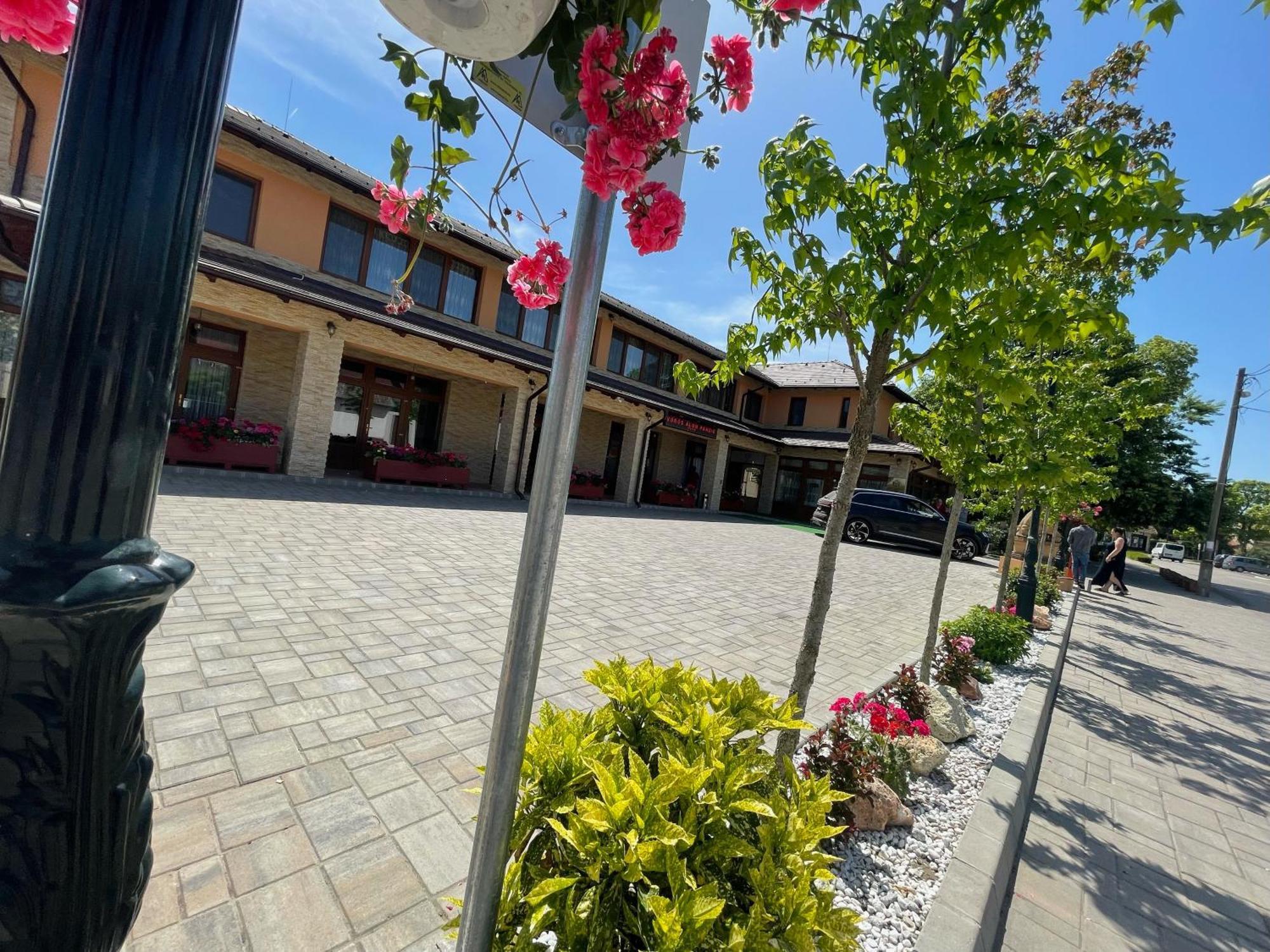 Tiszakécske Voeroes Alom Panzio B&B 외부 사진